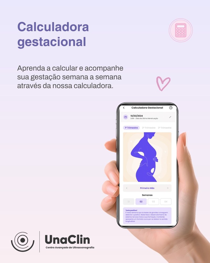 Calculadora gestacional do app V-Baby